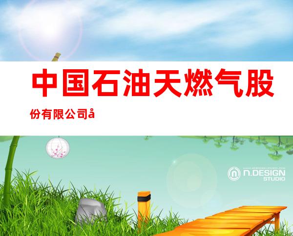 中国石油天燃气股份有限公司内蒙古包头销售分公司土右旗经营部南门加油站